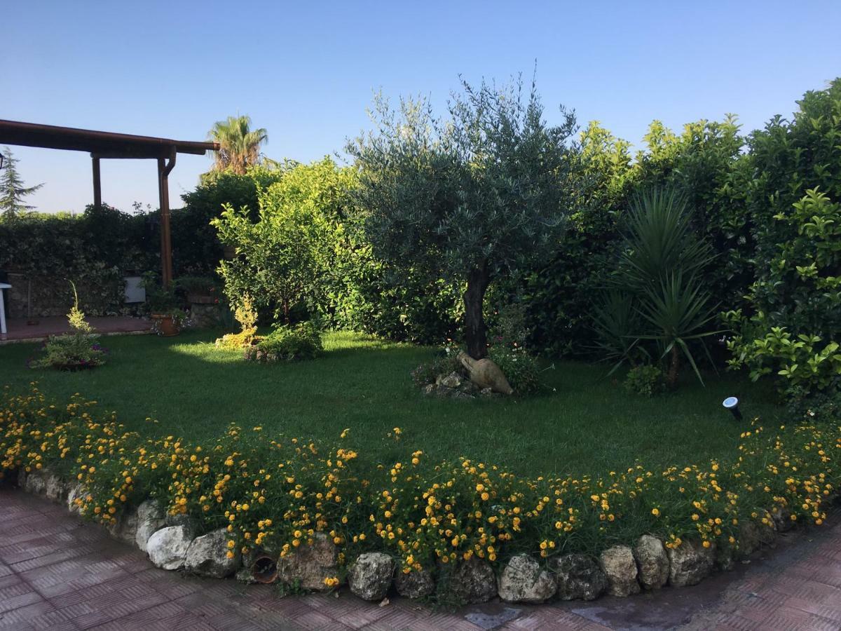 דירות קלטניסטה ***** La Casa Di Gio מראה חיצוני תמונה
