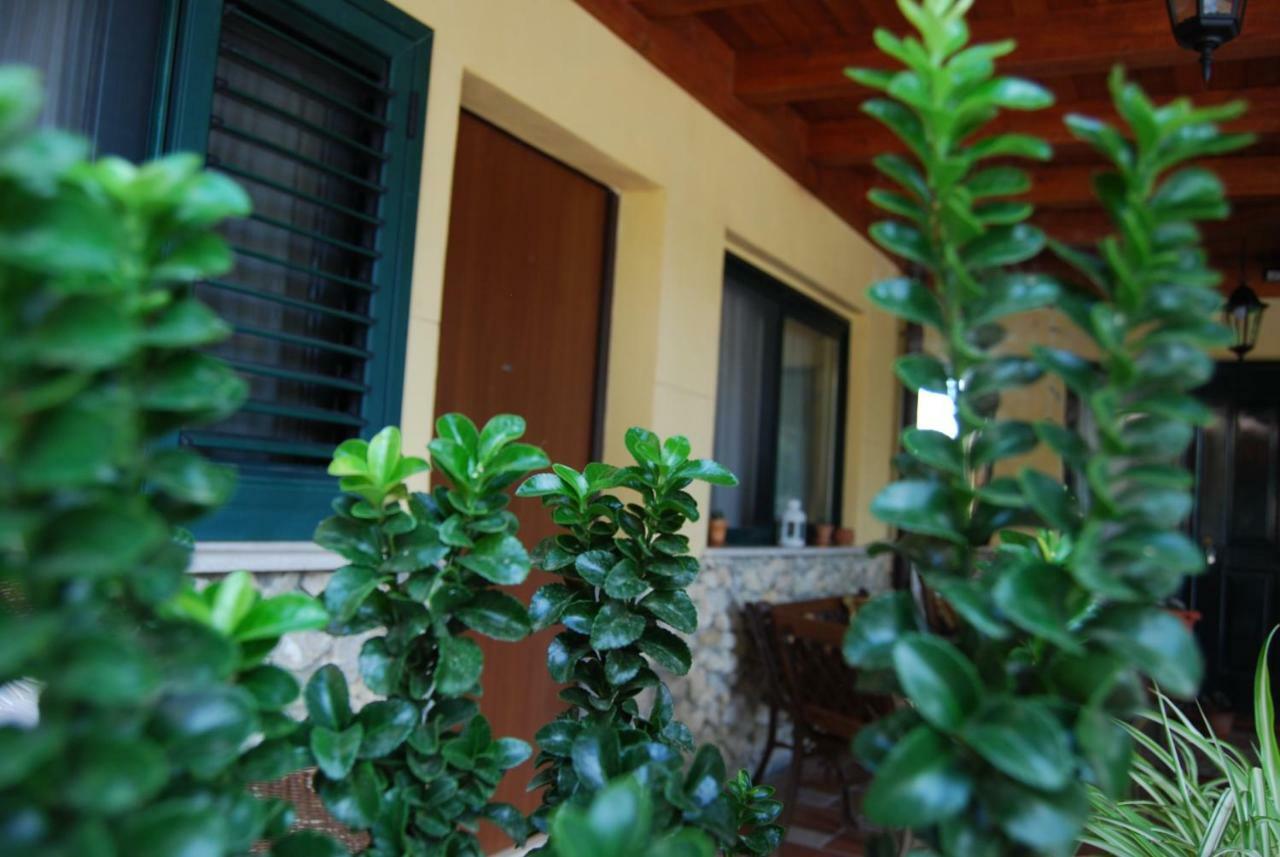 דירות קלטניסטה ***** La Casa Di Gio מראה חיצוני תמונה