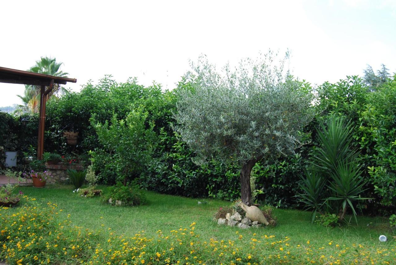 דירות קלטניסטה ***** La Casa Di Gio מראה חיצוני תמונה